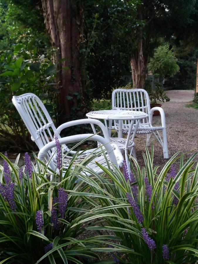 B&B Il Cortile Malpensa Casorate Sempione Ngoại thất bức ảnh