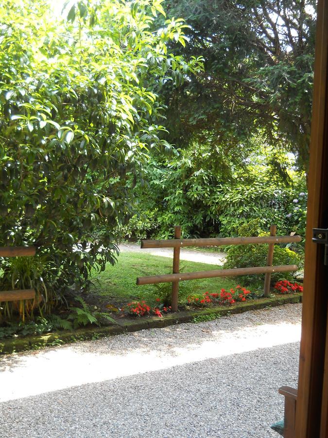B&B Il Cortile Malpensa Casorate Sempione Ngoại thất bức ảnh